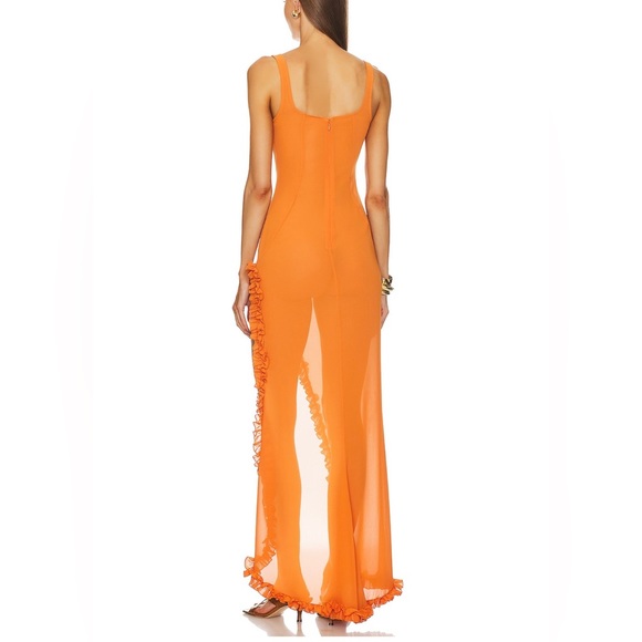 Sheer Ruffled Long Dress - Picture 2 of 5